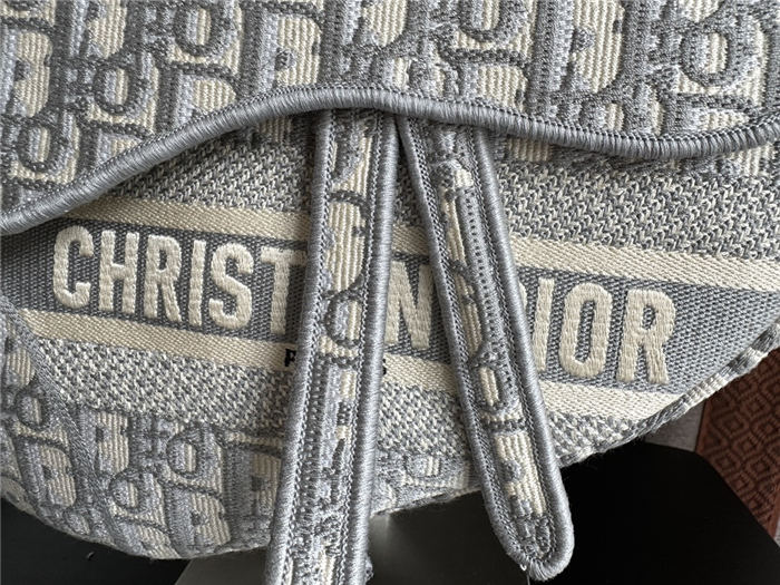 Dior SADDLE BAG Oblique Embroidery LB3184 (2)