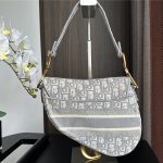 Dior SADDLE BAG Oblique Embroidery LB3184 (3)