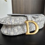 Dior SADDLE BAG Oblique Embroidery LB3184 (4)