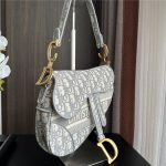 Dior SADDLE BAG Oblique Embroidery LB3184 (5)