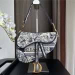 Dior SADDLE BAG Toile de Jouy Embroidery LB8132 (1)