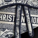 Dior SADDLE BAG Toile de Jouy Embroidery LB8132 (6)