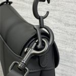 Dior SADDLE BAG Ultramatte Calfskin LB3164 (4)