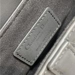 Dior SADDLE BAG Ultramatte Calfskin LB3164 (6)