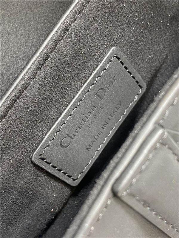 Dior SADDLE BAG Ultramatte Calfskin LB3164 (6)