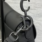 Dior SADDLE BAG Ultramatte Calfskin LB3226 (5)