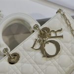 LADY D-JOY BAG Cannage Lambskin LB3099 (3)