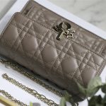 LADY Dior CHAIN POUCH Cannage Lambskin LB10078 (4)