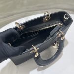 Lady D-Sire My ABCDior Bag Bull Leather LB8356 (5)