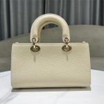 Lady D-Sire My ABCDior Bag Bull Leather LB8357 (4)