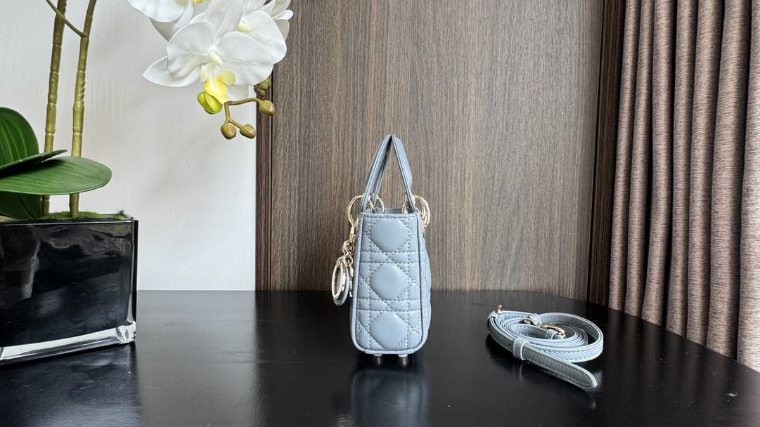 MICRO LADY Dior BAG Cannage Lambskin LB3214 (4)