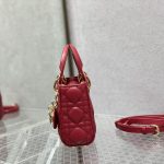 MICRO LADY Dior BAG Cannage Lambskin LB3215 (4)