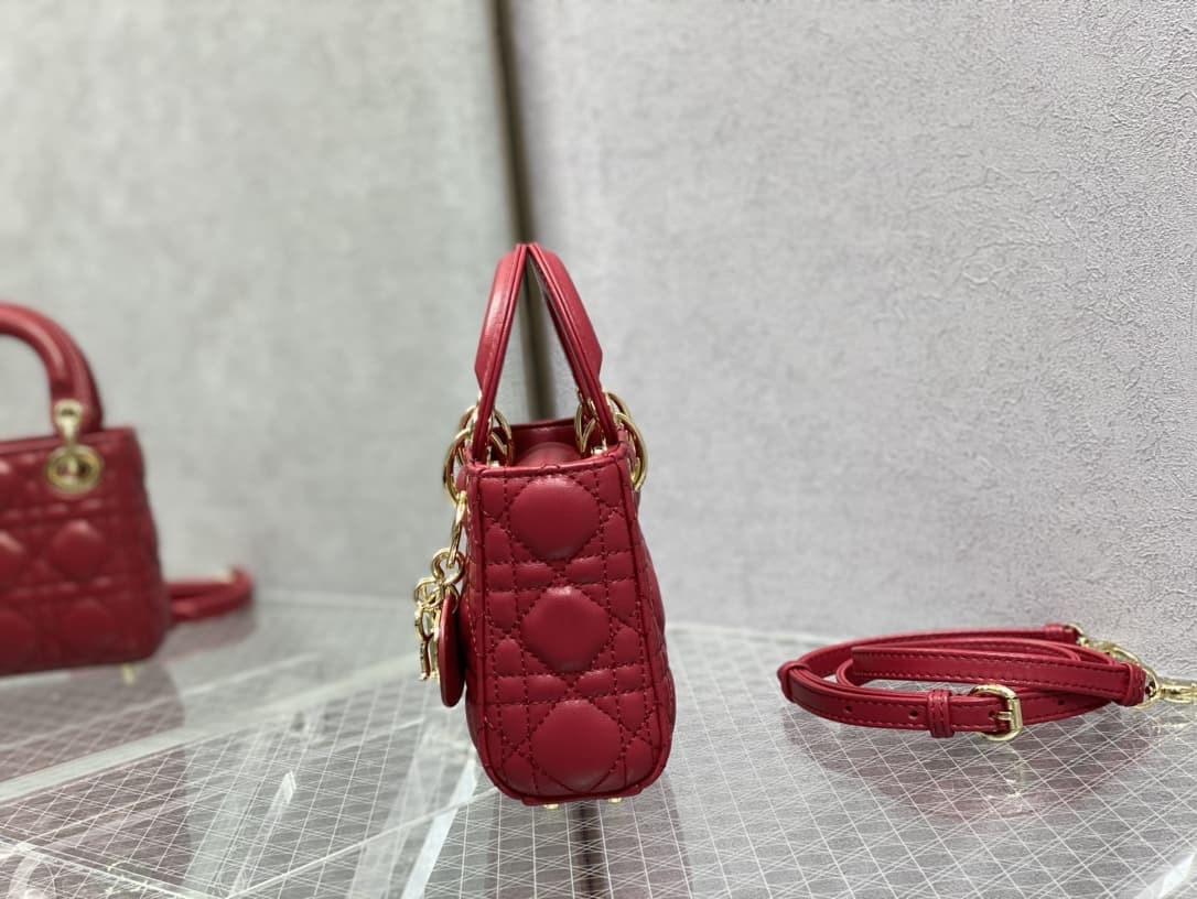 MICRO LADY Dior BAG Cannage Lambskin LB3215 (4)