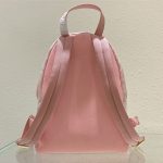 Dior MINI BACKPACK Cotton Canvas LB10366 (4)